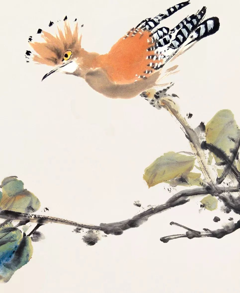 100幅禽鳥百圖，國畫鳥類美醉了！