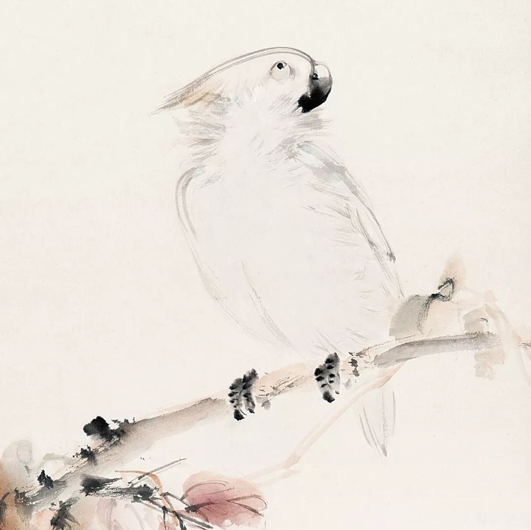 100幅禽鳥百圖，國畫鳥類美醉了！