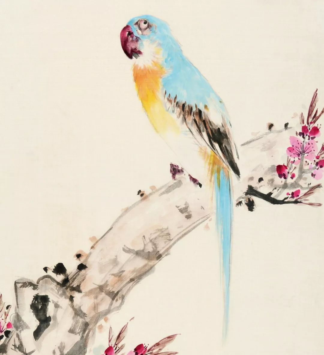 100幅禽鳥百圖，國畫鳥類美醉了！