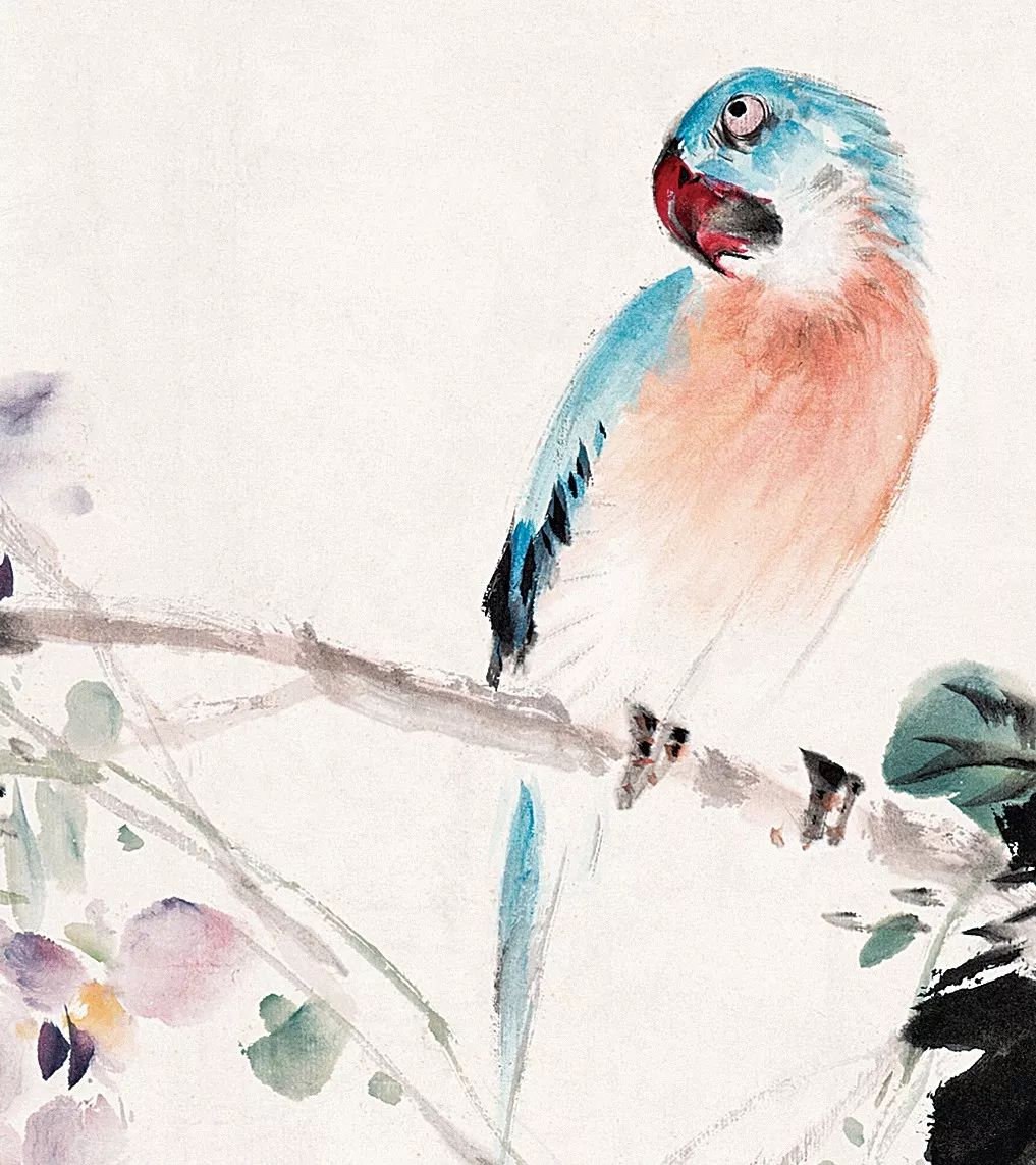 100幅禽鳥百圖，國畫鳥類美醉了！