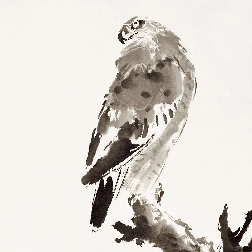 100幅禽鳥百圖，國畫鳥類美醉了！