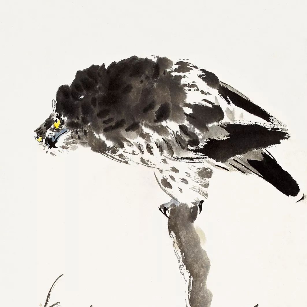 100幅禽鳥百圖，國畫鳥類美醉了！