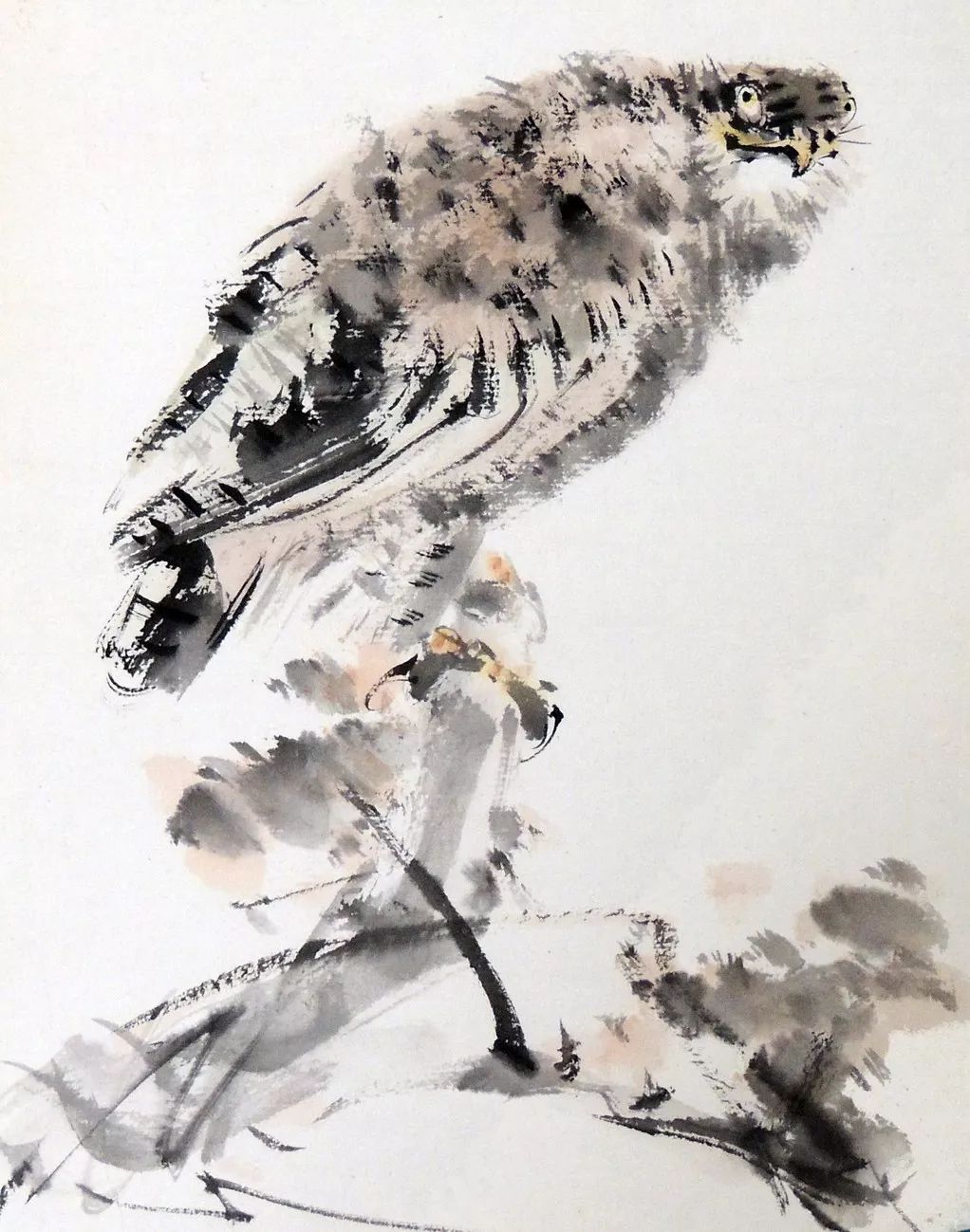 100幅禽鳥百圖，國畫鳥類美醉了！