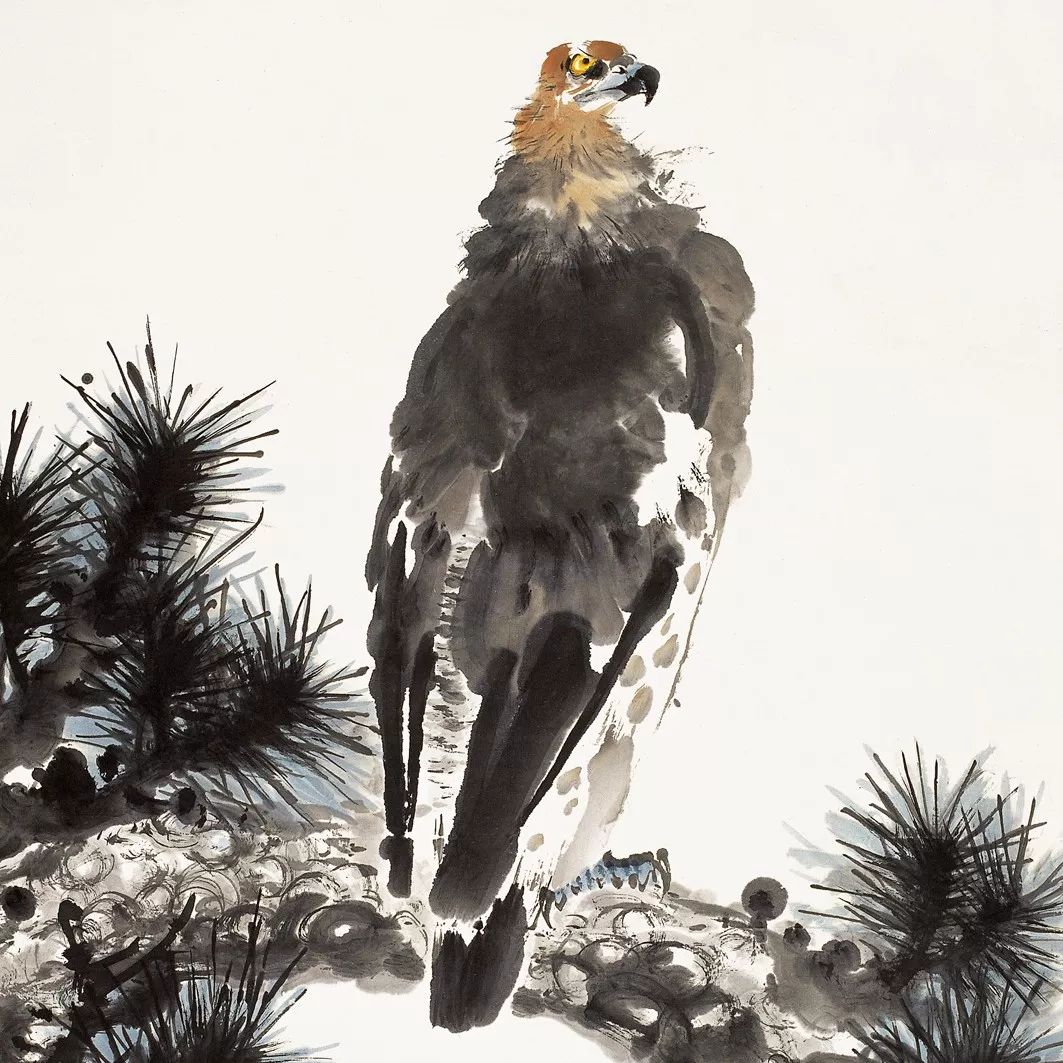 100幅禽鳥百圖，國畫鳥類美醉了！