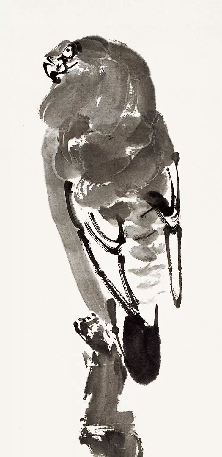 100幅禽鳥百圖，國畫鳥類美醉了！