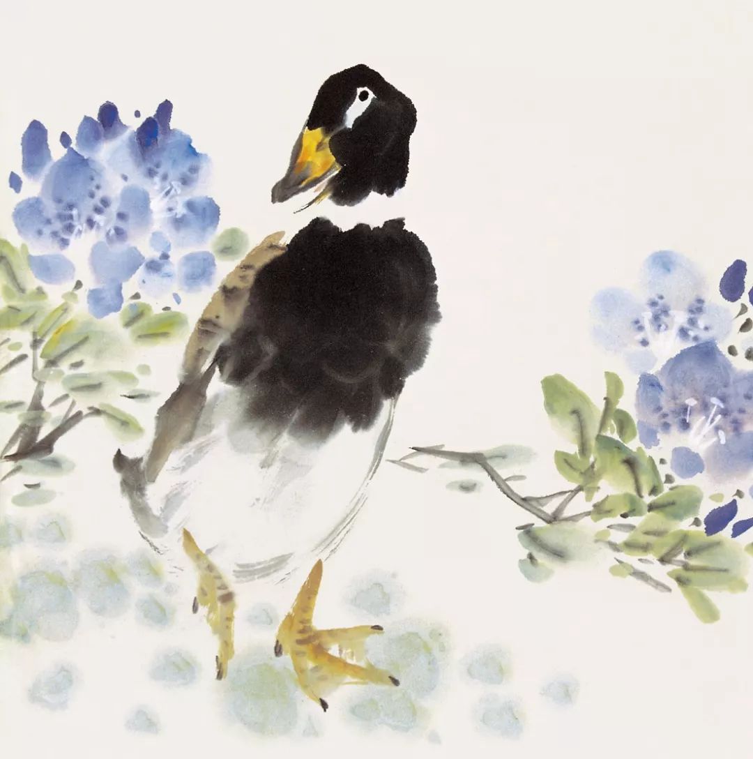 100幅禽鳥百圖，國畫鳥類美醉了！