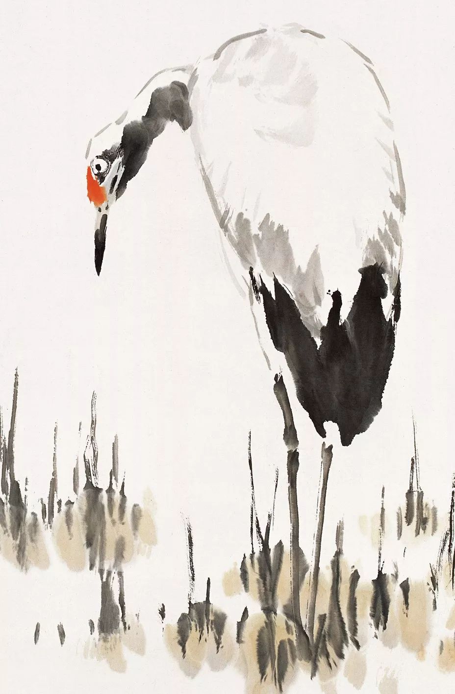 100幅禽鳥百圖，國畫鳥類美醉了！