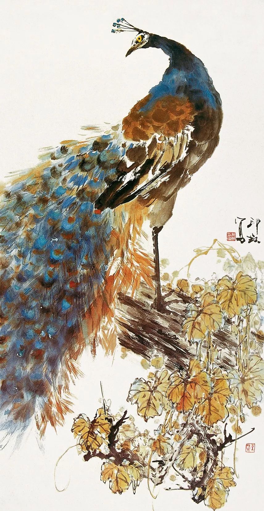 100幅禽鳥百圖，國畫鳥類美醉了！