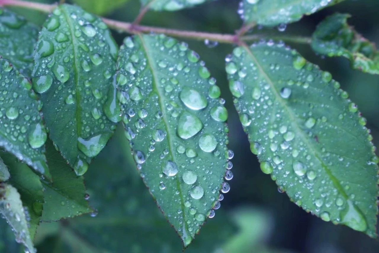 莫干山·柒竹悠南山，安靜的世外桃源