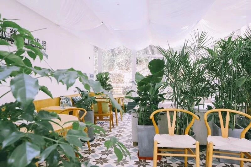 莫干山·柒竹悠南山，安靜的世外桃源