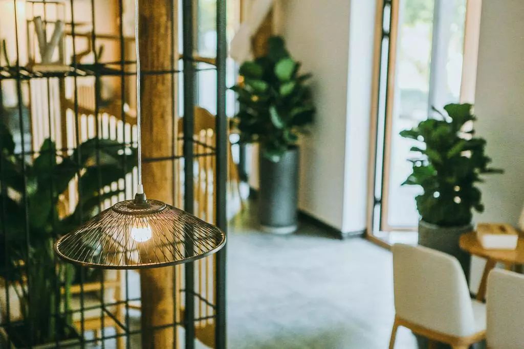 莫干山·柒竹悠南山，安靜的世外桃源