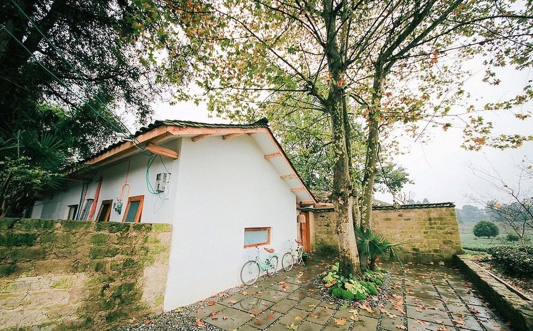 一所茶園里的民宿，過著鄉(xiāng)下悠閑愜意的日子