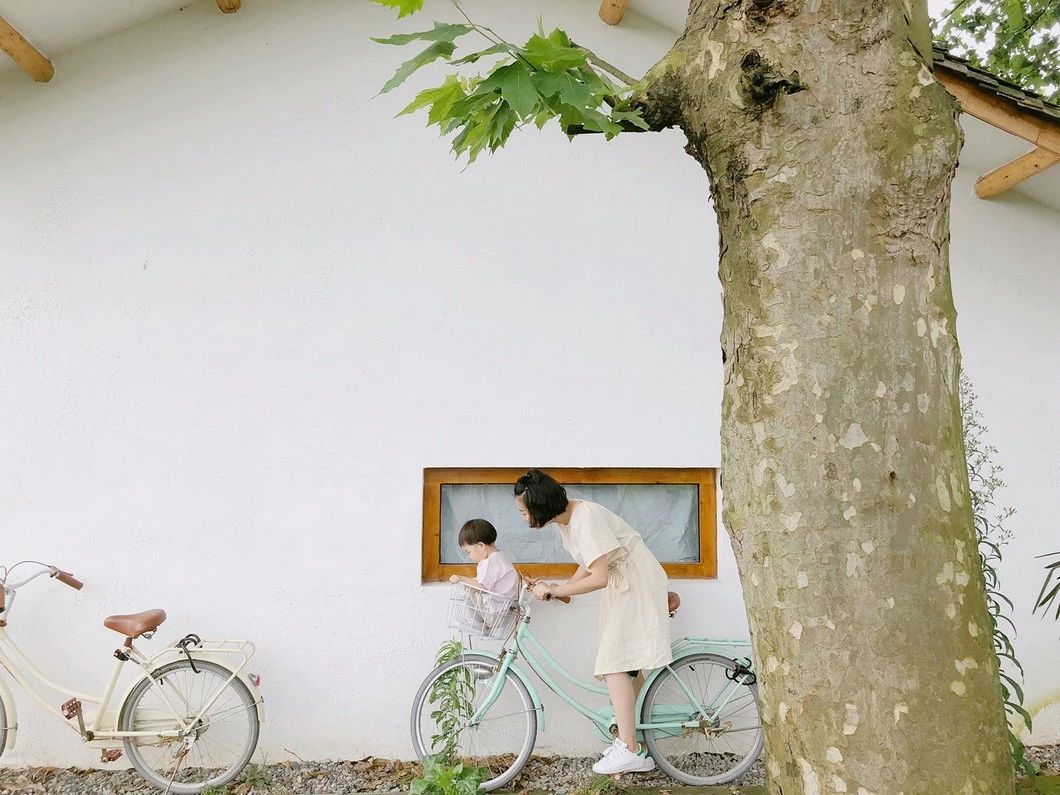 一所茶園里的民宿，過著鄉(xiāng)下悠閑愜意的日子