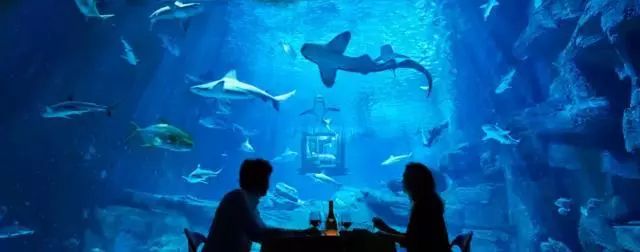 奇屋一夜民宿設(shè)計集合，把民宿開在了長城上