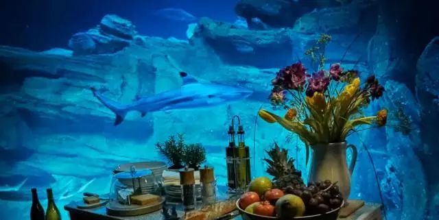 奇屋一夜民宿設(shè)計集合，把民宿開在了長城上