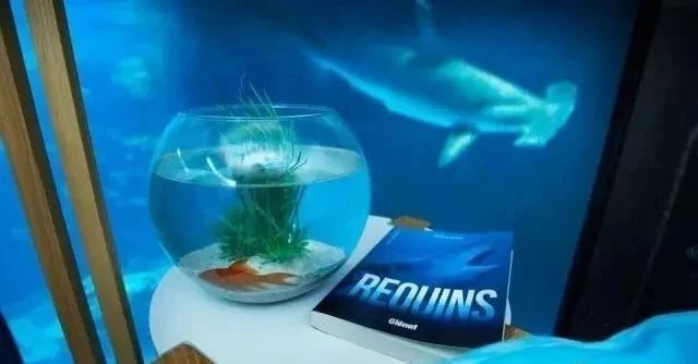 奇屋一夜民宿設(shè)計集合，把民宿開在了長城上