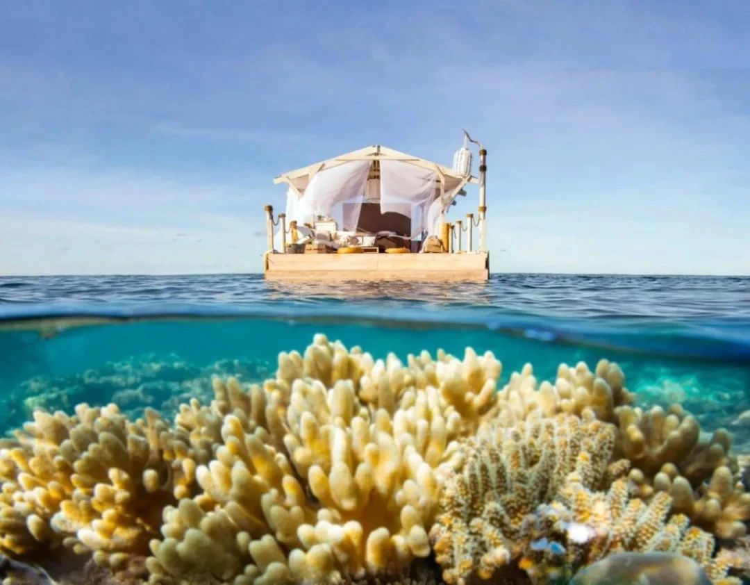 奇屋一夜民宿設(shè)計集合，把民宿開在了長城上