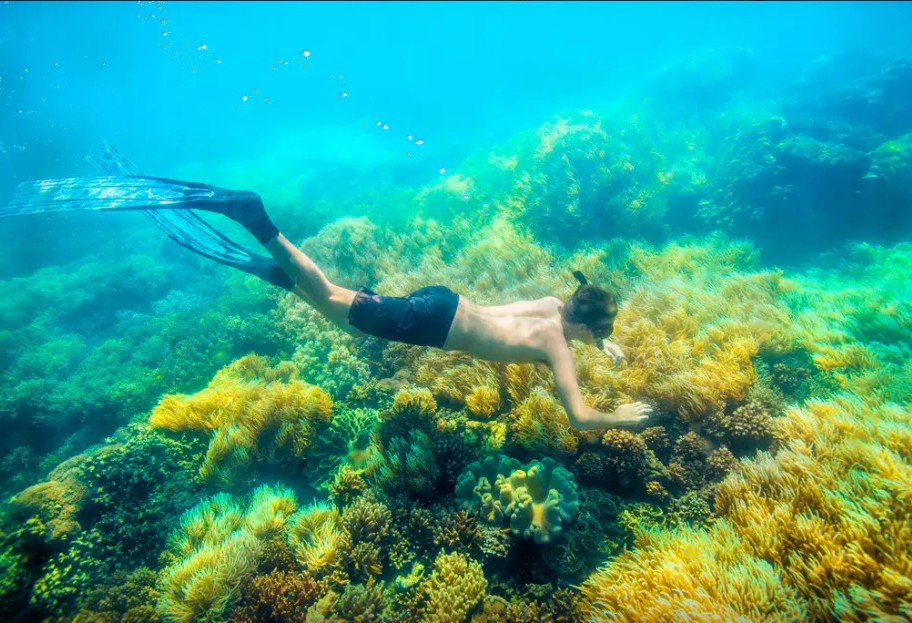 奇屋一夜民宿設(shè)計集合，把民宿開在了長城上