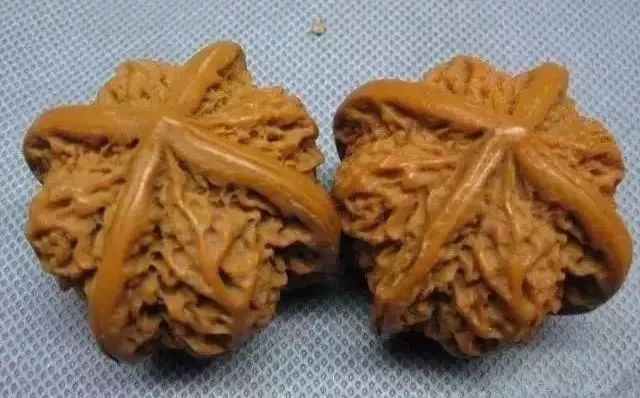 如何辨別真假核桃？五招辨別真假的方法