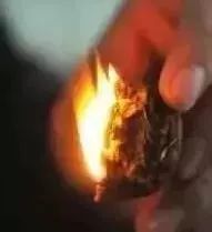 如何辨別真假核桃？五招辨別真假的方法