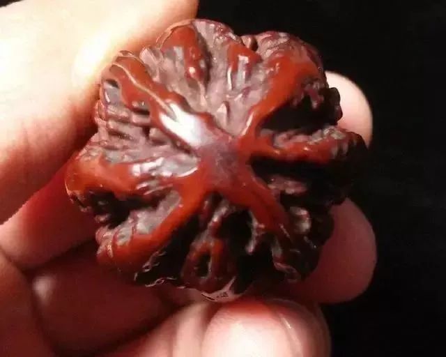 如何辨別真假核桃？五招辨別真假的方法