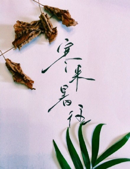 別致新穎的書法字體，美的很有意境！