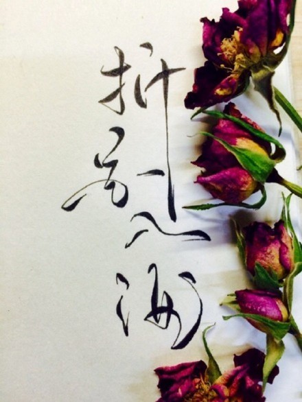 別致新穎的書法字體，美的很有意境！