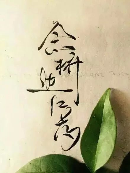 別致新穎的書法字體，美的很有意境！