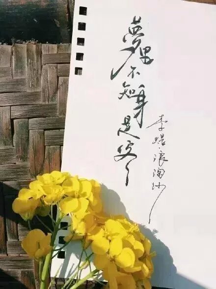 別致新穎的書法字體，美的很有意境！