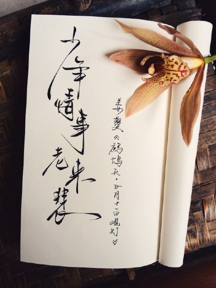 別致新穎的書法字體，美的很有意境！