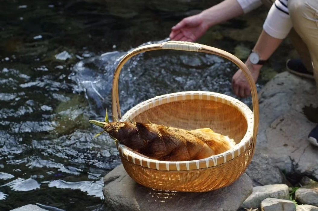 安吉·仁里息心廬，擁泉而居枕山而眠!