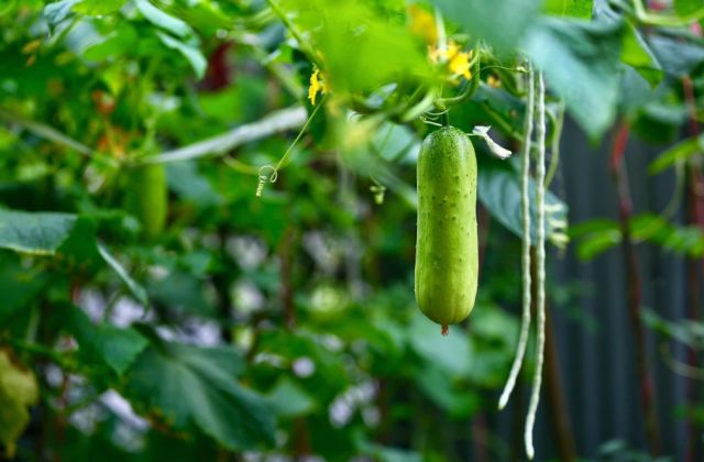 安吉·仁里息心廬，擁泉而居枕山而眠!