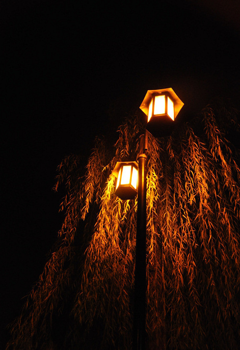 中式燈具之美，美燈配美景美哉