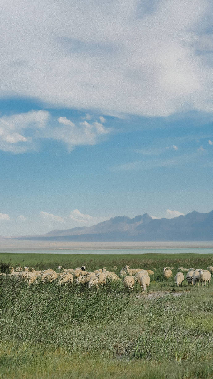 超美路途風(fēng)景攝影圖片，高清風(fēng)景手機(jī)壁紙圖集