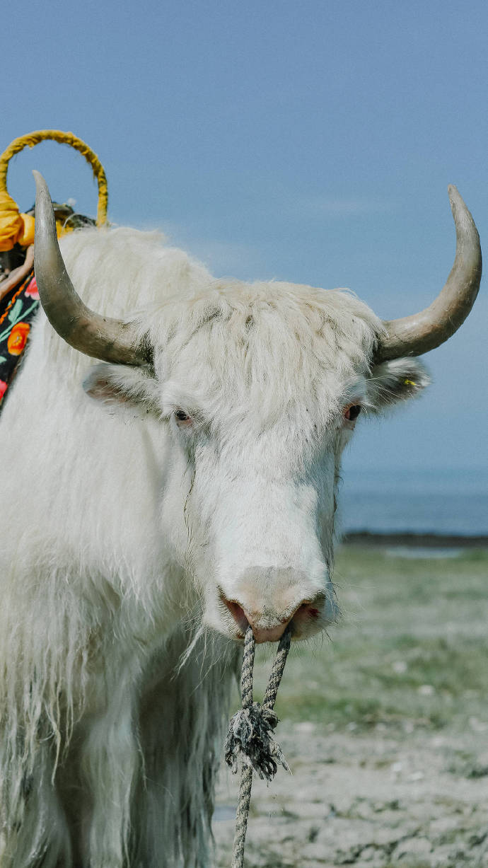 超美路途風(fēng)景攝影圖片，高清風(fēng)景手機(jī)壁紙圖集