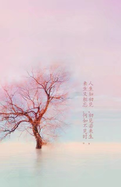 唯美帶文字古風(fēng)圖片，清新有意境古風(fēng)壁紙圖集