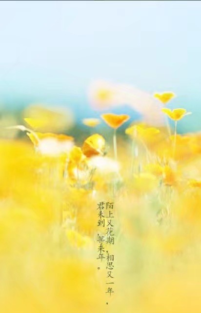 唯美帶文字古風(fēng)圖片，清新有意境古風(fēng)壁紙圖集