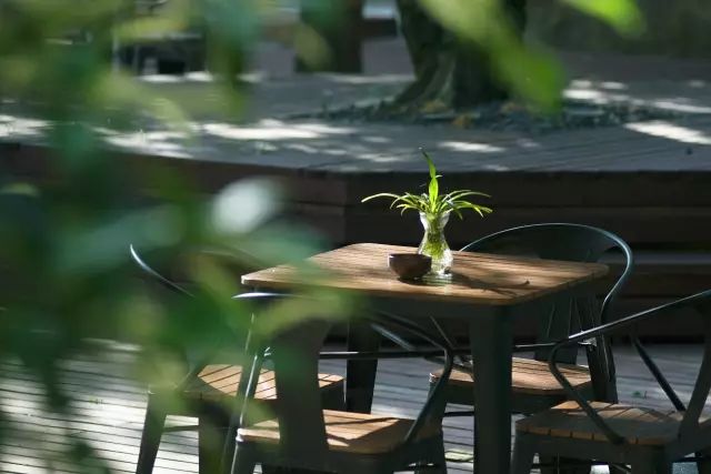 10家徽州最美民宿，領(lǐng)略徽州老宅的氣息