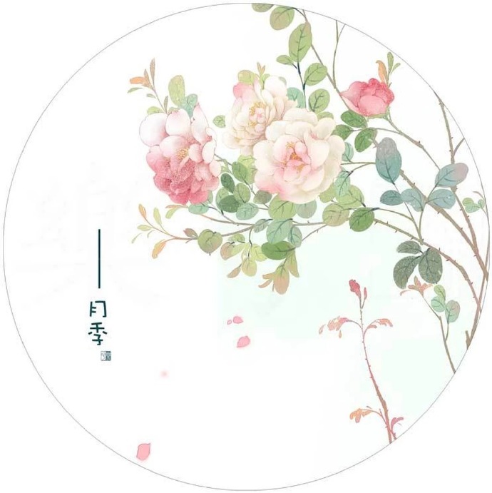 清新植物花卉插畫(huà)，可作頭像的插畫(huà)圖片