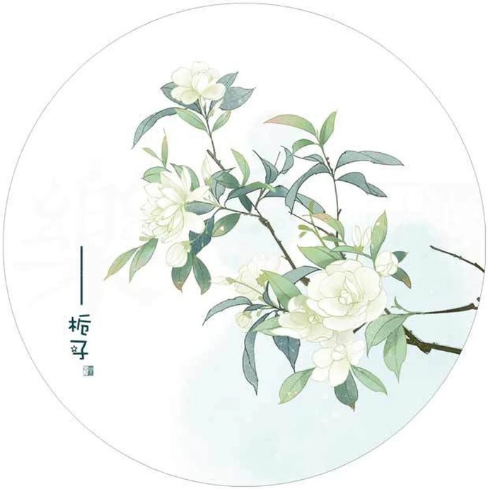 清新植物花卉插畫(huà)，可作頭像的插畫(huà)圖片