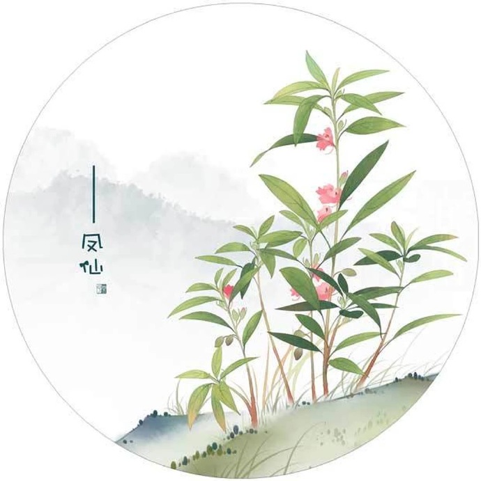 清新植物花卉插畫(huà)，可作頭像的插畫(huà)圖片