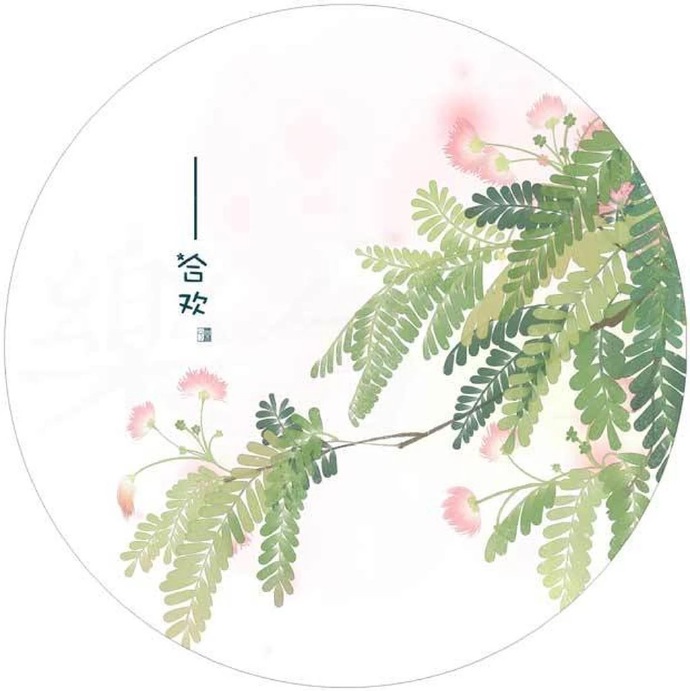 清新植物花卉插畫(huà)，可作頭像的插畫(huà)圖片