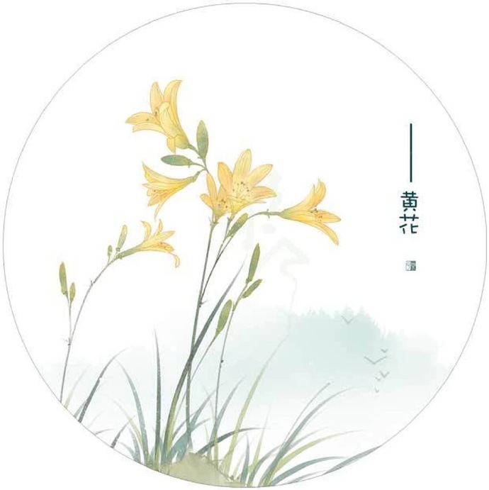 清新植物花卉插畫(huà)，可作頭像的插畫(huà)圖片
