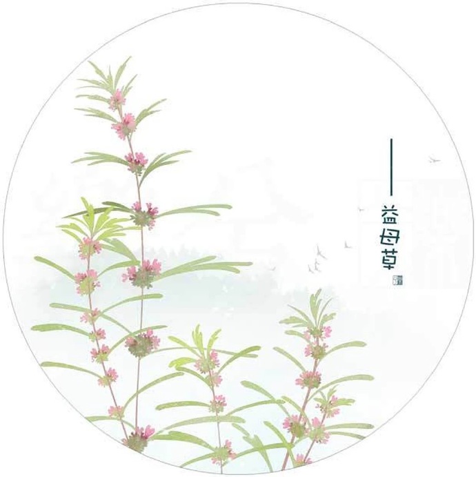 清新植物花卉插畫(huà)，可作頭像的插畫(huà)圖片