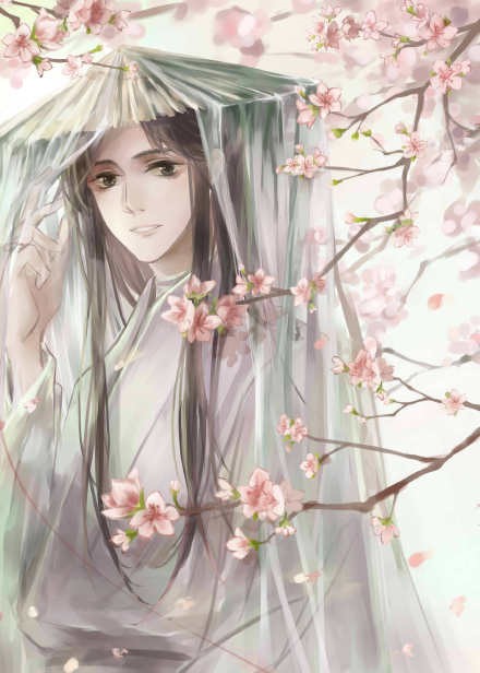 《天官賜福》古風(fēng)圖集(23張），花城好帥呀！