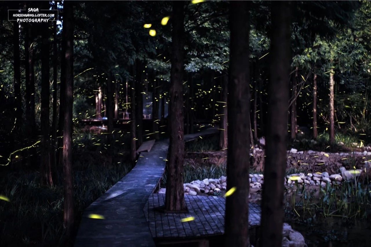 6家莫干山的新民宿，美出新境界