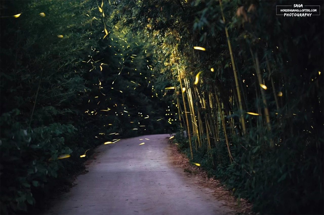 6家莫干山的新民宿，美出新境界