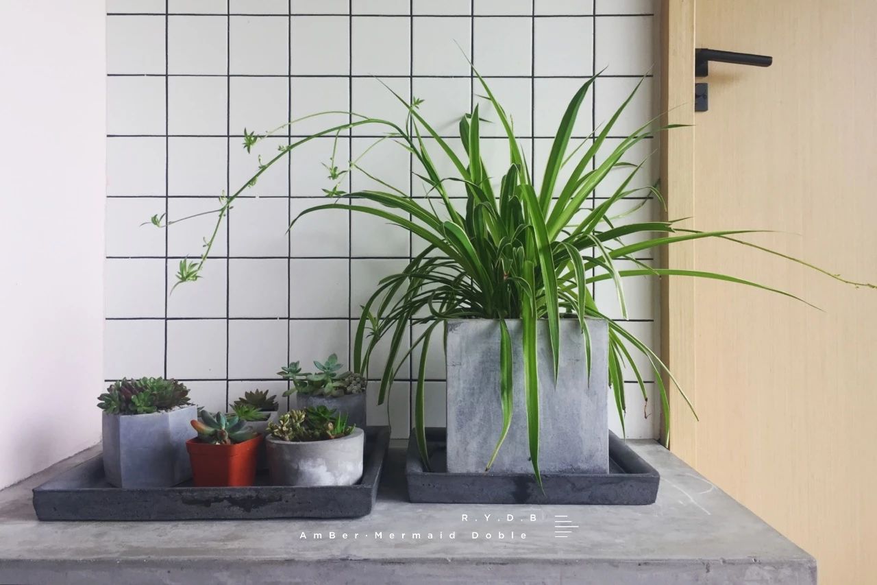 6家莫干山的新民宿，美出新境界