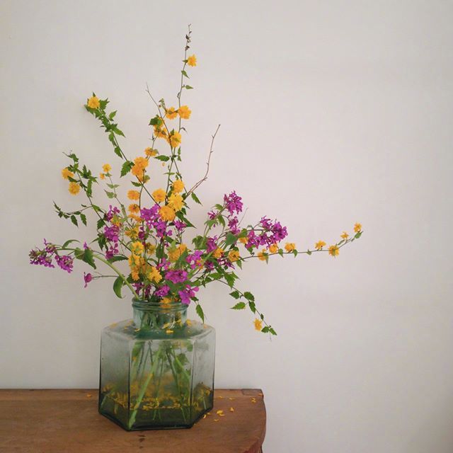 小清新插花藝術(shù)欣賞，生活如此美好