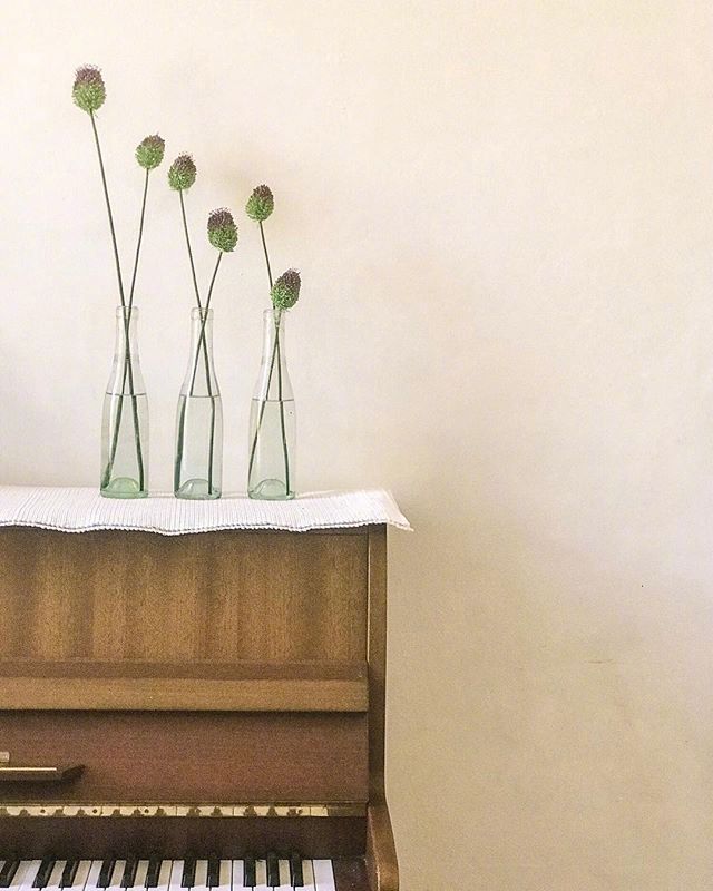 小清新插花藝術(shù)欣賞，生活如此美好